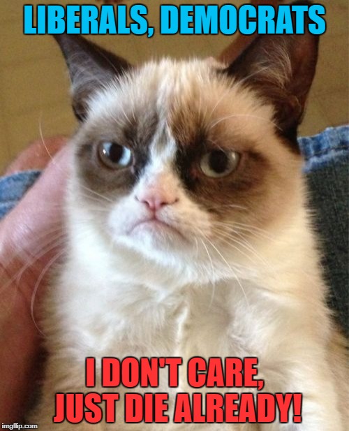 Grumpy Cat Meme | LIBERALS, DEMOCRATS I DON'T CARE, JUST DIE ALREADY! | image tagged in memes,grumpy cat | made w/ Imgflip meme maker