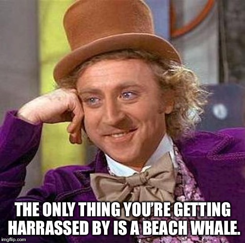 Creepy Condescending Wonka Meme | THE ONLY THING YOU’RE GETTING HARRASSED BY IS A BEACH WHALE. | image tagged in memes,creepy condescending wonka | made w/ Imgflip meme maker