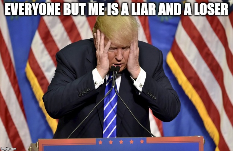 Cry baby Trump | EVERYONE BUT ME IS A LIAR AND A LOSER | image tagged in cry baby trump | made w/ Imgflip meme maker