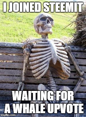Waiting Skeleton | I JOINED STEEMIT; WAITING FOR A WHALE UPVOTE | image tagged in memes,waiting skeleton | made w/ Imgflip meme maker