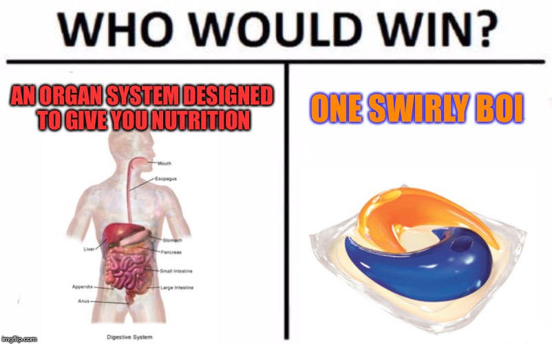 Who Would Win? | AN ORGAN SYSTEM DESIGNED TO GIVE YOU NUTRITION; ONE SWIRLY BOI | image tagged in memes,who would win,tide pods | made w/ Imgflip meme maker