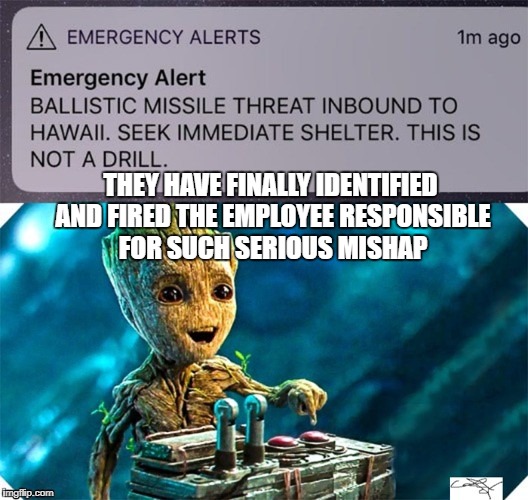 THEY HAVE FINALLY IDENTIFIED AND FIRED THE EMPLOYEE RESPONSIBLE FOR SUCH SERIOUS MISHAP | image tagged in hawaii,missile,alert,hawaii missile,groot,wrong button | made w/ Imgflip meme maker