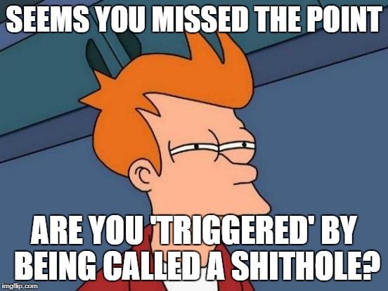 Futurama Fry Meme | SEEMS YOU MISSED THE POINT ARE YOU 'TRIGGERED' BY BEING CALLED A SHITHOLE? | image tagged in memes,futurama fry | made w/ Imgflip meme maker