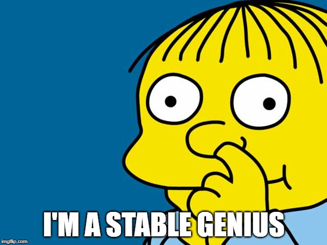 I'M A STABLE GENIUS | image tagged in stable genius,stablegenius,trump,donald trump | made w/ Imgflip meme maker