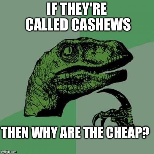 Philosoraptor | IF THEY'RE CALLED CASHEWS; THEN WHY ARE THE CHEAP? | image tagged in memes,philosoraptor | made w/ Imgflip meme maker