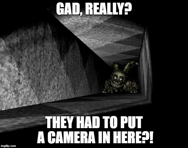 Fnaf 3 Memes | GAD, REALLY? THEY HAD TO PUT A CAMERA IN HERE?! | image tagged in fnaf 3,springtrap,vent | made w/ Imgflip meme maker