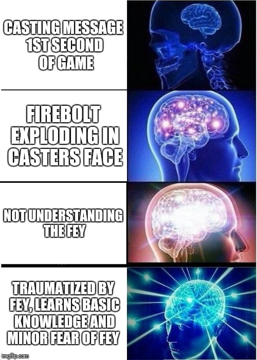 Expanding Brain Meme | CASTING MESSAGE 1ST SECOND 
OF GAME; FIREBOLT EXPLODING IN CASTERS FACE; NOT UNDERSTANDING THE FEY; TRAUMATIZED BY FEY, LEARNS BASIC KNOWLEDGE AND MINOR FEAR OF FEY | image tagged in memes,expanding brain | made w/ Imgflip meme maker
