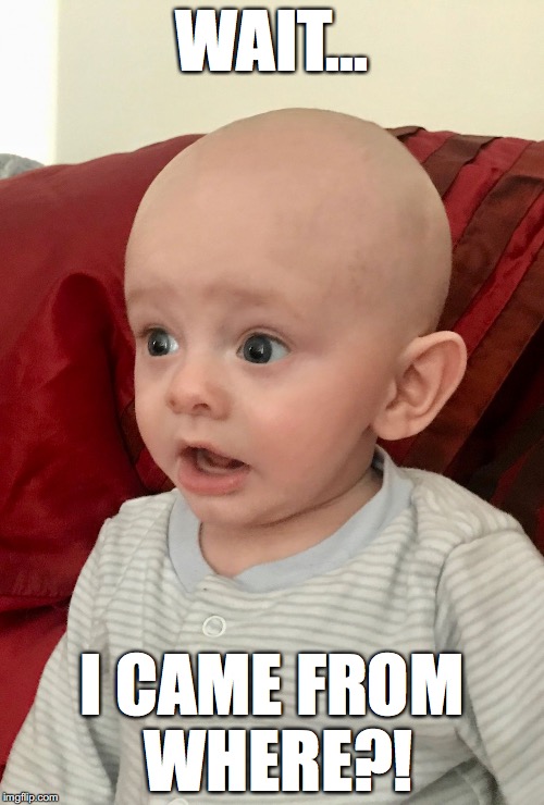 Shocked Baby | WAIT... I CAME FROM WHERE?! | image tagged in shocked baby | made w/ Imgflip meme maker