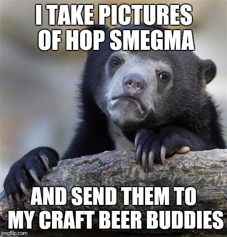 Confession Bear | I TAKE PICTURES OF HOP SMEGMA; AND SEND THEM TO MY CRAFT BEER BUDDIES | image tagged in memes,confession bear | made w/ Imgflip meme maker