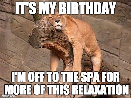 sleeping lion | IT'S MY BIRTHDAY; I'M OFF TO THE SPA FOR MORE OF THIS RELAXATION | image tagged in sleeping lion | made w/ Imgflip meme maker