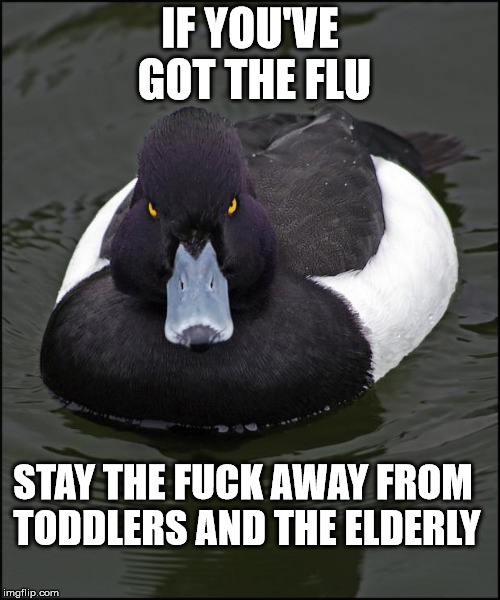 Angry duck | IF YOU'VE GOT THE FLU; STAY THE FUCK AWAY FROM TODDLERS AND THE ELDERLY | image tagged in angry duck | made w/ Imgflip meme maker