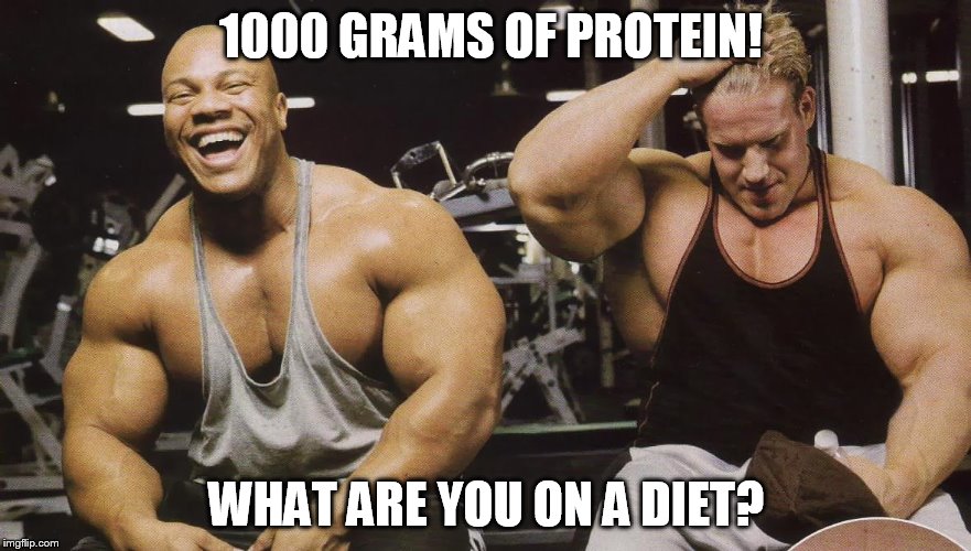 Bodybuilder laughing | 1000 GRAMS OF PROTEIN! WHAT ARE YOU ON A DIET? | image tagged in bodybuilder laughing | made w/ Imgflip meme maker