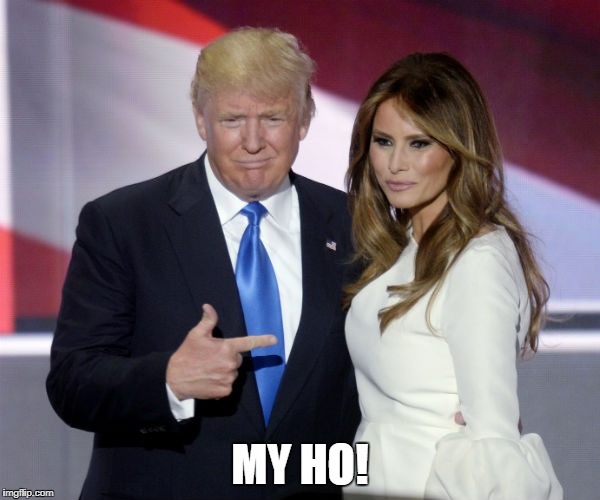 Trump melania pointing | MY HO! | image tagged in trump melania pointing | made w/ Imgflip meme maker