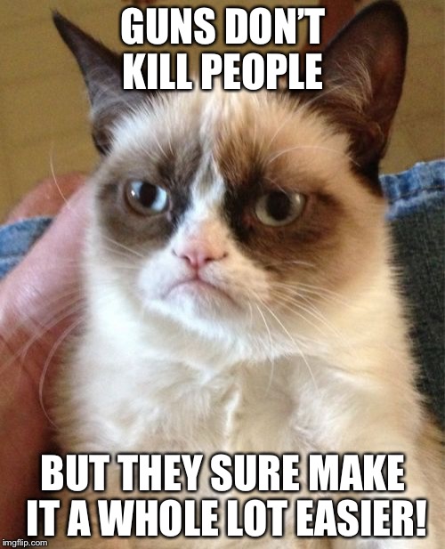 Grumpy Cat | GUNS DON’T KILL PEOPLE; BUT THEY SURE MAKE IT A WHOLE LOT EASIER! | image tagged in memes,grumpy cat,guns,gun laws | made w/ Imgflip meme maker