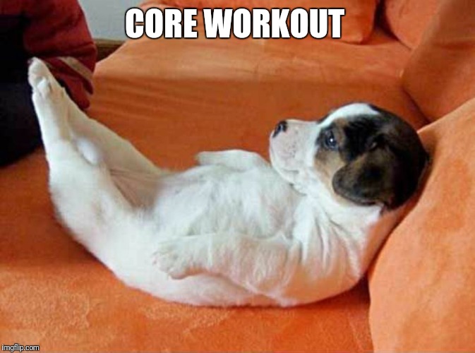 Core workout puppy | CORE WORKOUT | image tagged in core workout puppy,exercise,workout,gym,fitness | made w/ Imgflip meme maker