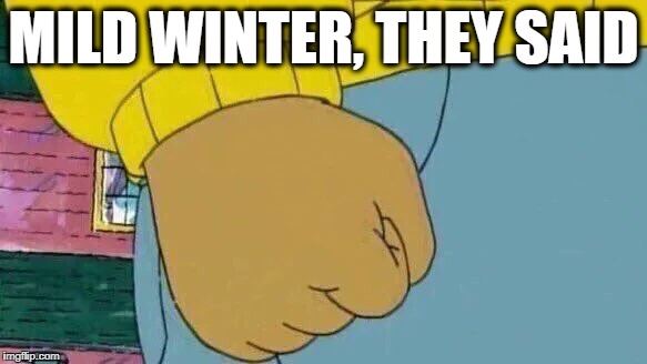 I don't know whether to say Grrr or Brrrr! | MILD WINTER, THEY SAID | image tagged in memes,arthur fist | made w/ Imgflip meme maker