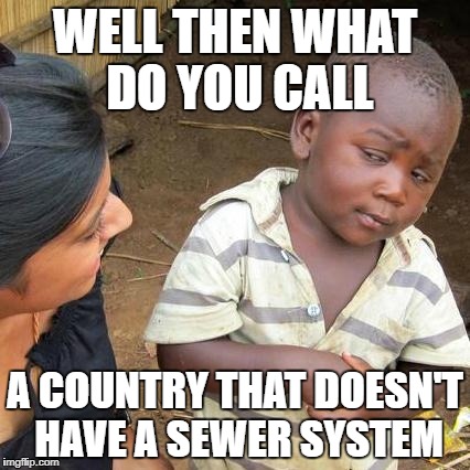 Third World Skeptical Kid Meme | WELL THEN WHAT DO YOU CALL; A COUNTRY THAT DOESN'T HAVE A SEWER SYSTEM | image tagged in memes,third world skeptical kid | made w/ Imgflip meme maker