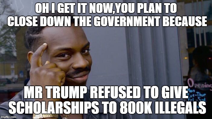 Roll Safe Think About It Meme | OH I GET IT NOW,YOU PLAN TO CLOSE DOWN THE GOVERNMENT BECAUSE; MR TRUMP REFUSED TO GIVE SCHOLARSHIPS TO 800K ILLEGALS | image tagged in memes,roll safe think about it | made w/ Imgflip meme maker