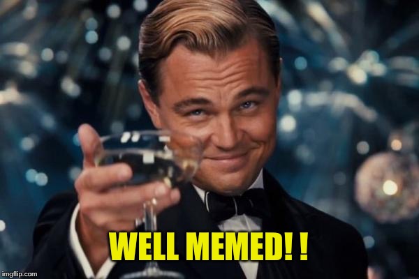 Leonardo Dicaprio Cheers Meme | WELL MEMED! ! | image tagged in memes,leonardo dicaprio cheers | made w/ Imgflip meme maker