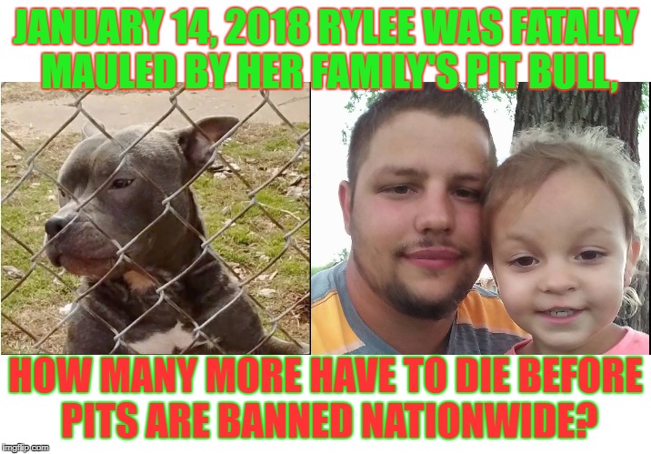 2018 Fatal pit mauling 02 | JANUARY 14, 2018 RYLEE WAS FATALLY MAULED BY HER FAMILY'S PIT BULL, HOW MANY MORE HAVE TO DIE BEFORE PITS ARE BANNED NATIONWIDE? | image tagged in pit bull fatal mauling | made w/ Imgflip meme maker
