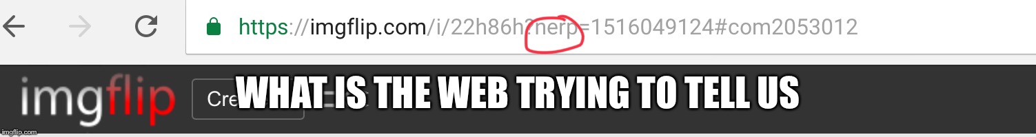 WHAT IS THE WEB TRYING TO TELL US | image tagged in funny,weird web,memes | made w/ Imgflip meme maker