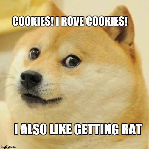 Doge | COOKIES! I ROVE COOKIES! I ALS0 LIKE GETTING RAT | image tagged in memes,doge | made w/ Imgflip meme maker
