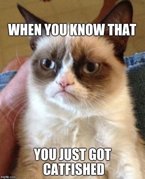 Grumpy Cat Meme | WHEN YOU KNOW THAT; YOU JUST GOT CATFISHED | image tagged in memes,grumpy cat | made w/ Imgflip meme maker