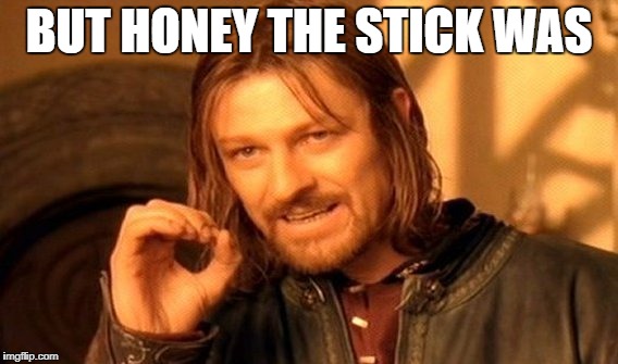 One Does Not Simply Meme | BUT HONEY THE STICK WAS; ONLY THIS BIG | image tagged in memes,one does not simply | made w/ Imgflip meme maker