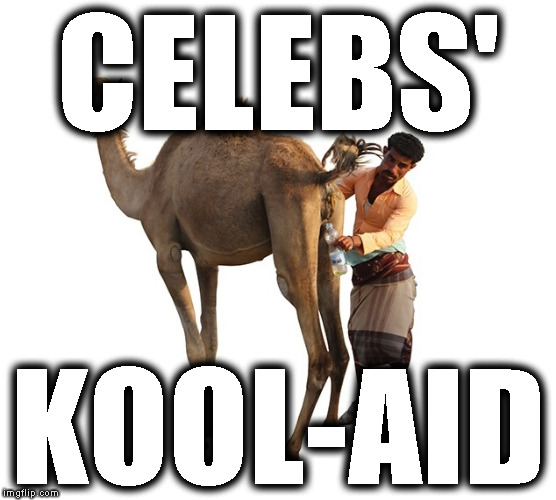 celebs' kool-aid | CELEBS'; KOOL-AID | image tagged in celebrity idiots,ellitist morons,deep state,inbreds | made w/ Imgflip meme maker
