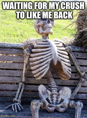 Waiting Skeleton | WAITING FOR MY CRUSH TO LIKE ME BACK | image tagged in memes,waiting skeleton | made w/ Imgflip meme maker