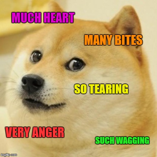 Doge Meme | MUCH HEART MANY BITES SO TEARING VERY ANGER SUCH WAGGING | image tagged in memes,doge | made w/ Imgflip meme maker