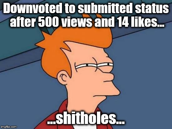 True story... | Downvoted to submitted status after 500 views and 14 likes... ...shitholes... | image tagged in memes,futurama fry,downvote,shithole | made w/ Imgflip meme maker