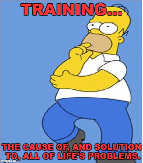 TRAINING... THE CAUSE OF, AND SOLUTION TO, ALL OF LIFE'S PROBLEMS. | made w/ Imgflip meme maker
