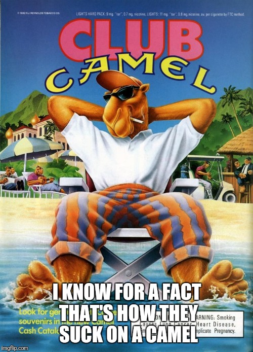 I KNOW FOR A FACT THAT'S HOW THEY SUCK ON A CAMEL | made w/ Imgflip meme maker