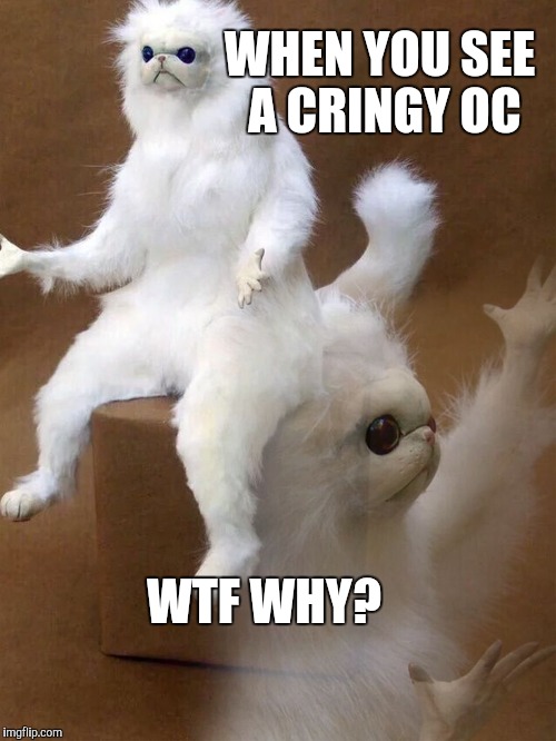 WTF Cat | WHEN YOU SEE A CRINGY OC; WTF WHY? | image tagged in wtf cat | made w/ Imgflip meme maker