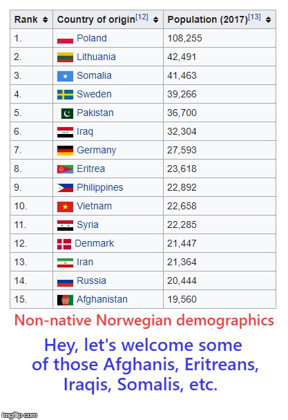 Norwegian Immigration | Non-native Norwegian demographics; Hey, let's welcome some of those Afghanis, Eritreans, Iraqis, Somalis, etc. | image tagged in trump,norway,immigration,shithole | made w/ Imgflip meme maker