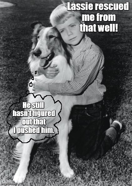 Did Lassie ever get tired of rescuing Timmy? | Lassie rescued me from that well! He still hasn't figured out that I pushed him. | image tagged in memes,lassie,timmy,dogs | made w/ Imgflip meme maker