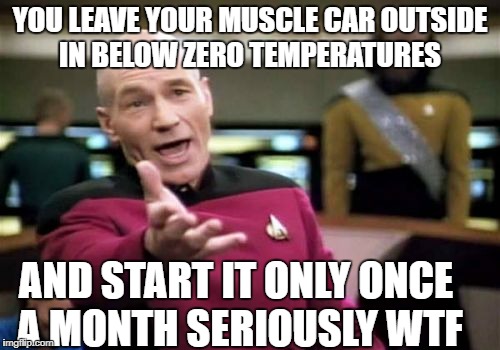 Picard Wtf Meme | YOU LEAVE YOUR MUSCLE CAR OUTSIDE IN BELOW ZERO TEMPERATURES; AND START IT ONLY ONCE A MONTH SERIOUSLY WTF | image tagged in memes,picard wtf | made w/ Imgflip meme maker