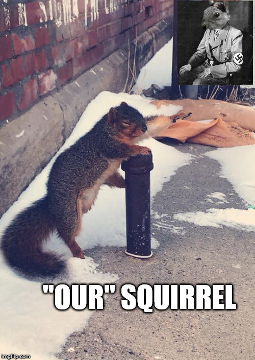 "Our" Squirrel | "OUR" SQUIRREL | image tagged in dank memes,dark humor,political meme,right wing | made w/ Imgflip meme maker