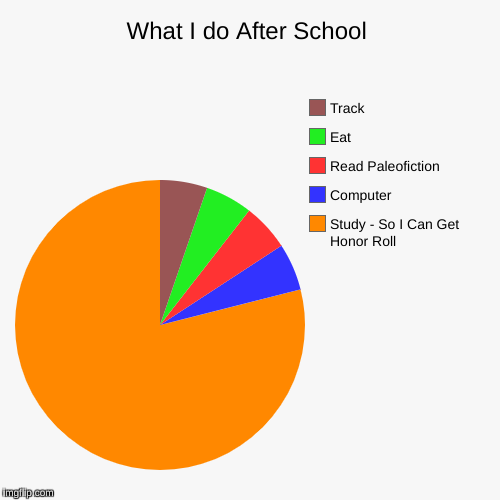 What I do After School | image tagged in funny,pie charts | made w/ Imgflip chart maker