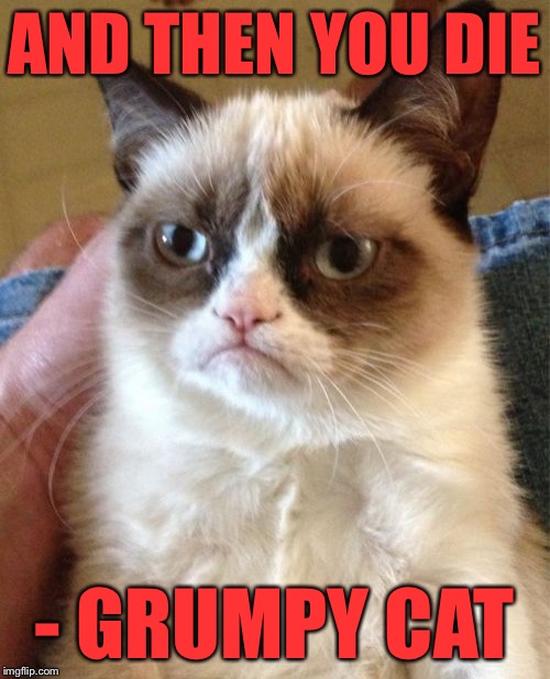 Grumpy Cat Meme | AND THEN YOU DIE - GRUMPY CAT | image tagged in memes,grumpy cat | made w/ Imgflip meme maker