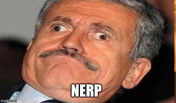 NERP | made w/ Imgflip meme maker