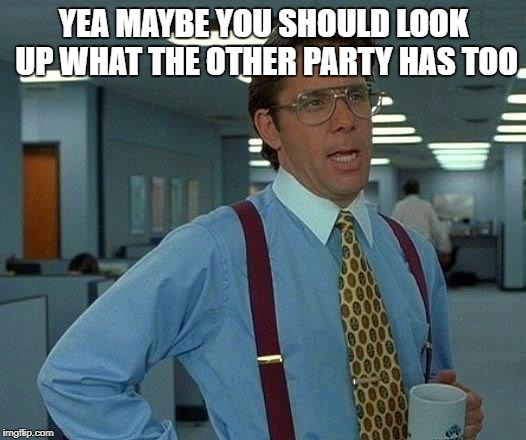 That Would Be Great Meme | YEA MAYBE YOU SHOULD LOOK UP WHAT THE OTHER PARTY HAS TOO | image tagged in memes,that would be great | made w/ Imgflip meme maker