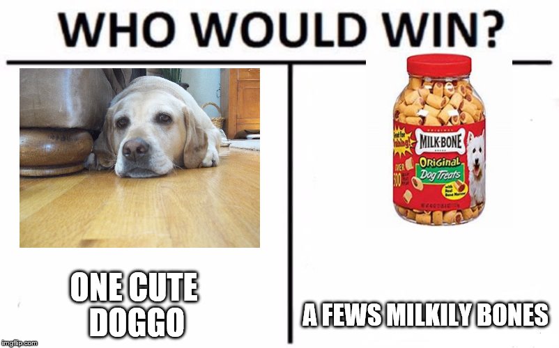 Who Would Win? Meme | ONE CUTE DOGGO; A FEWS MILKILY BONES | image tagged in memes,who would win | made w/ Imgflip meme maker