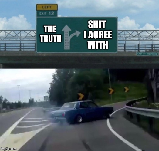 Left Exit 12 Off Ramp Meme | SHIT I AGREE WITH; THE TRUTH | image tagged in left exit 12 off ramp,memes,funny,so true | made w/ Imgflip meme maker