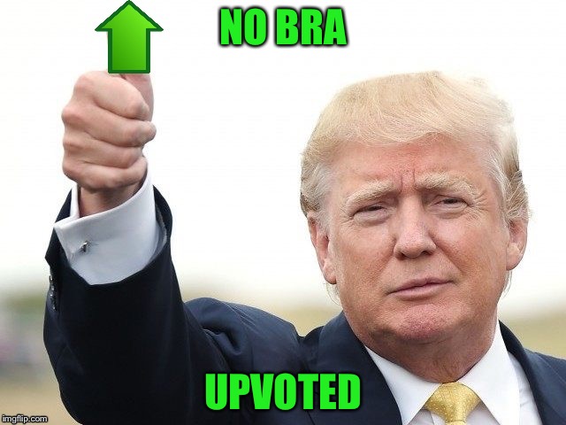 Trump Upvote | NO BRA UPVOTED | image tagged in trump upvote | made w/ Imgflip meme maker