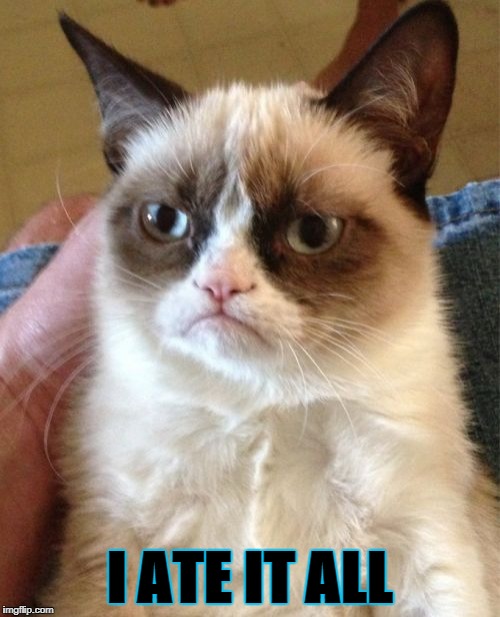 Grumpy Cat Meme | I ATE IT ALL | image tagged in memes,grumpy cat | made w/ Imgflip meme maker