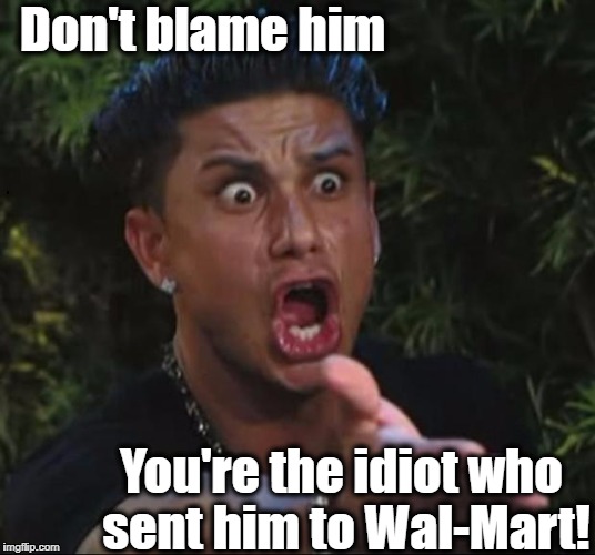 for crying out loud | Don't blame him You're the idiot who sent him to Wal-Mart! | image tagged in for crying out loud | made w/ Imgflip meme maker