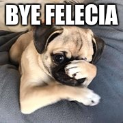 BYE FELECIA | image tagged in au secour | made w/ Imgflip meme maker