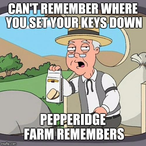 Pepperidge Farm Remembers Meme | CAN'T REMEMBER WHERE YOU SET YOUR KEYS DOWN; PEPPERIDGE FARM REMEMBERS | image tagged in memes,pepperidge farm remembers | made w/ Imgflip meme maker